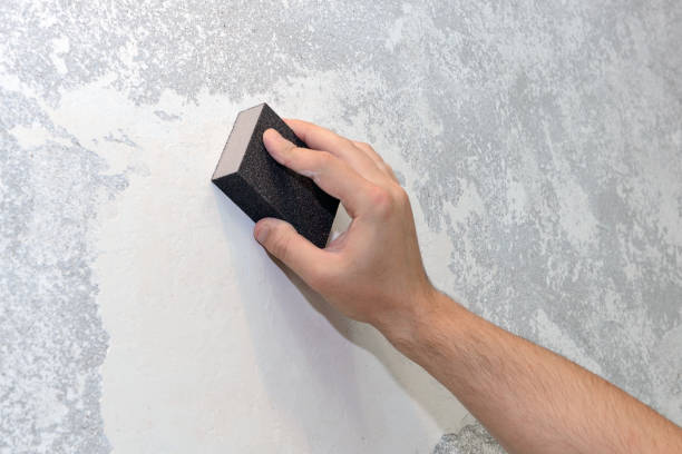 Reliable Prince George, VA Mold Removal Solutions