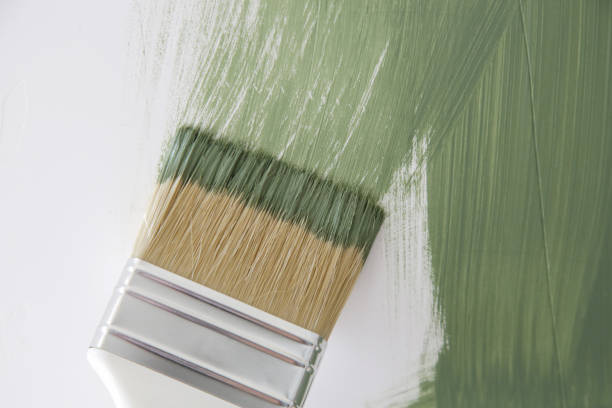 Mold Remediation for Vacation Homes in Prince George, VA