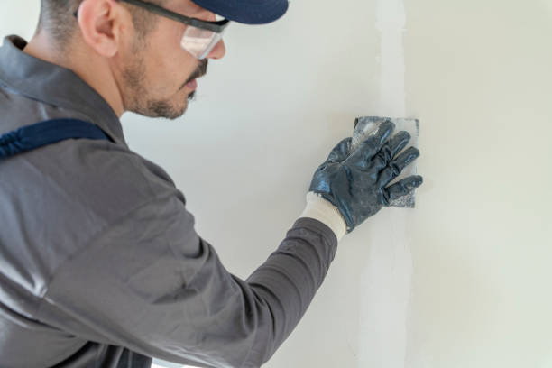 Best Emergency Mold Remediation  in Prince George, VA