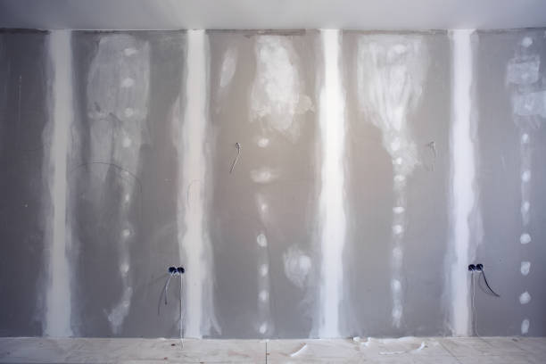 Best Forensic Mold Investigation  in Prince George, VA